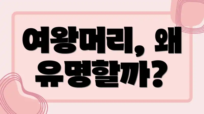 여왕머리, 왜 유명할까?