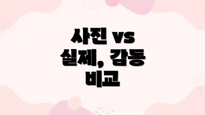 사진 vs 실제, 감동 비교