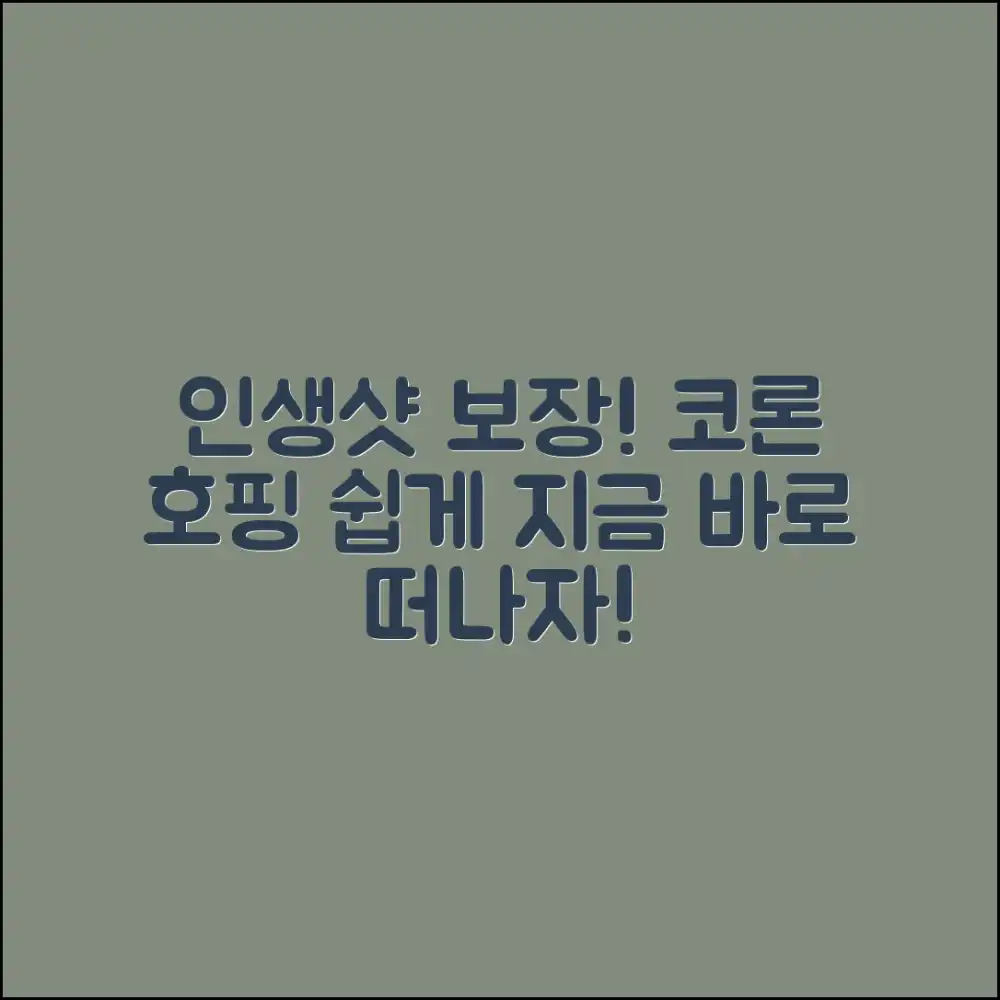 누구나 인생샷! 코론 호핑투어 쉽게 즐기기