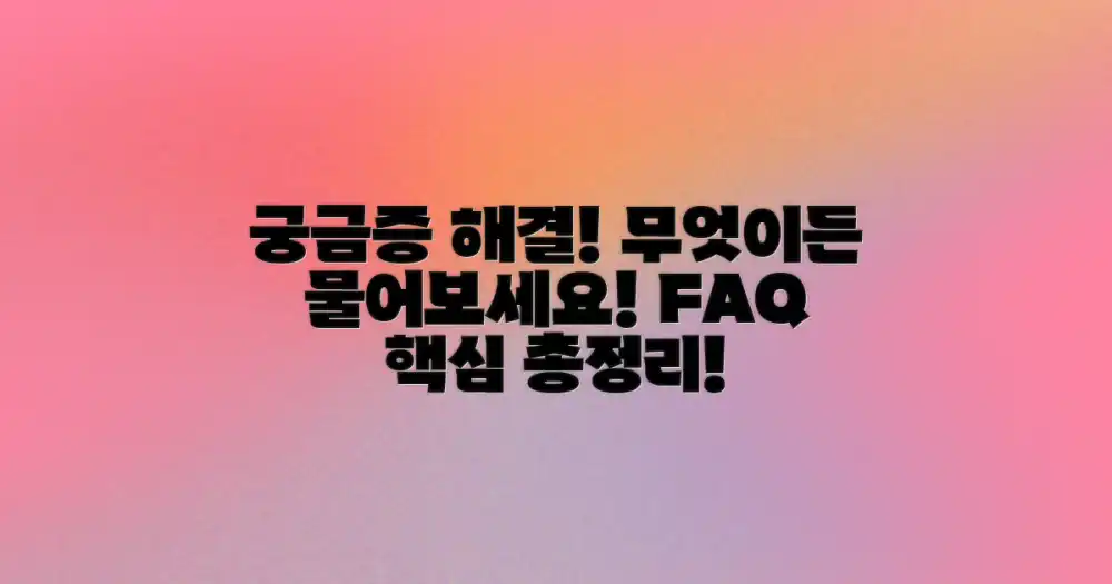 자주 묻는 질문