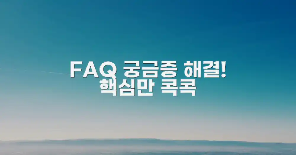 자주 묻는 질문