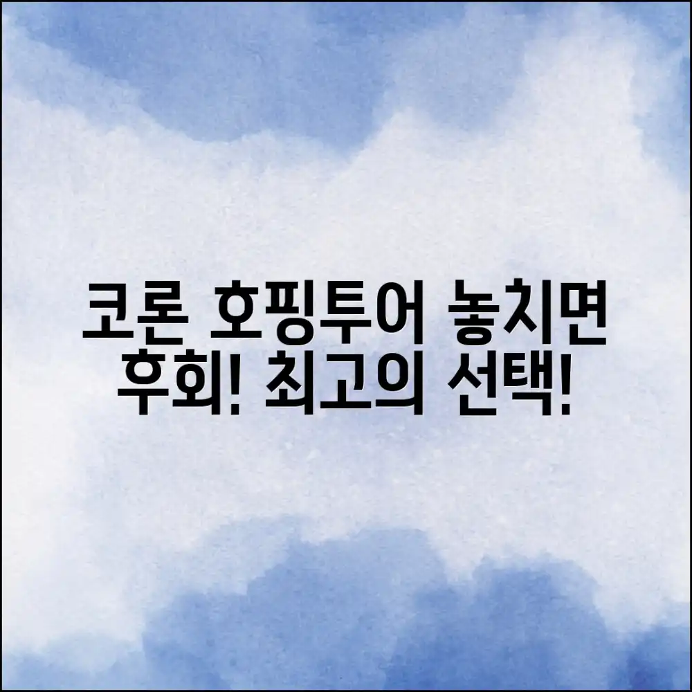 코론 호핑투어, 절대 놓치지 말아야 할 이유는?